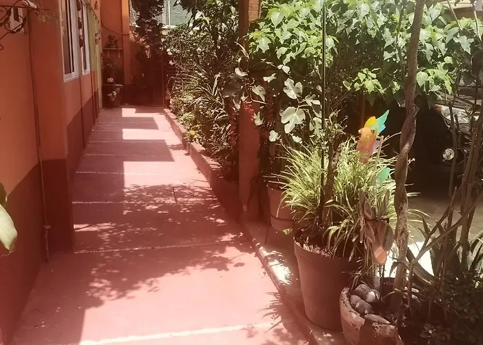 Apartamento Depa 1 Habitación Equipado Coyoacan