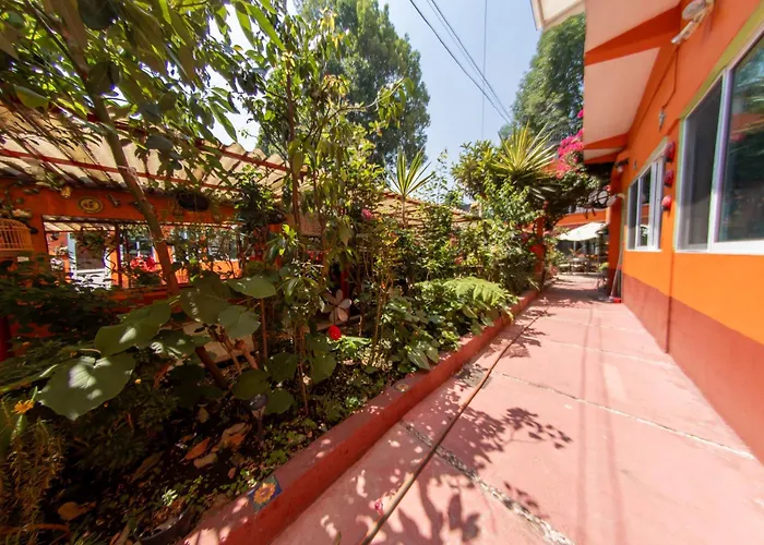 Depa 1 Habitación Equipado Coyoacan